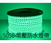 LED 5050 110VnO 