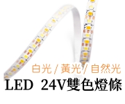 LED 24V 2835 rOOa 208O