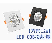 LED COBάʮrO 12w