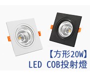 LED COBάʮrO 20w